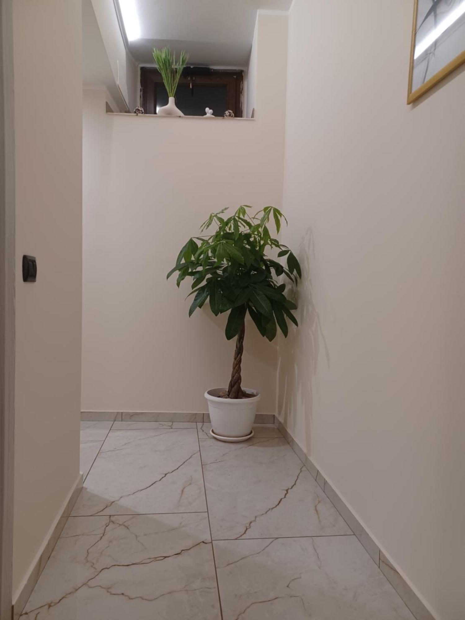Soleil Hotel Nicosia Kültér fotó
